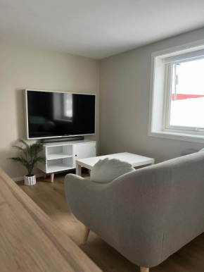 Downtown apartment with good bus connections
